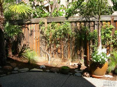 39 Arnold Dr, Novato, CA 94949 photo 16