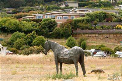 Undisclosed, Tiburon, CA 94920 photo 24