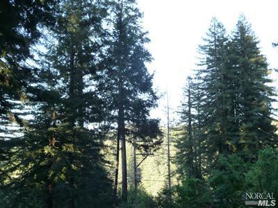 Undisclosed, Camp Meeker, CA 95419 photo 5