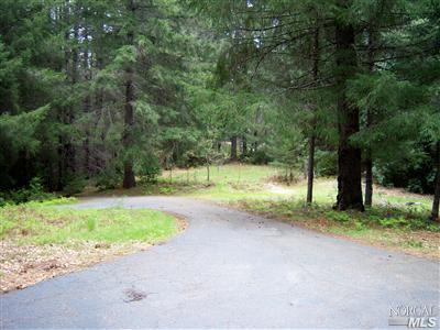 3651 Chinquapin Dr, Willits, CA 95490 photo 3