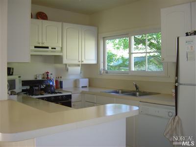 20450 River Blvd, Monte Rio, CA 95462 photo 6
