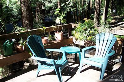 20655 Park Ave, Monte Rio, CA 95462 photo 25
