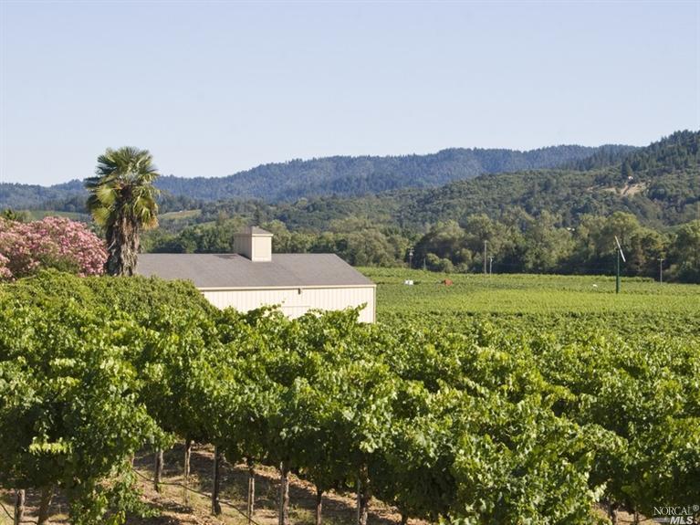Undisclosed, Geyserville, CA 95441 photo 22