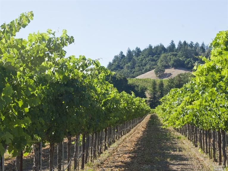 Undisclosed, Geyserville, CA 95441 photo 23