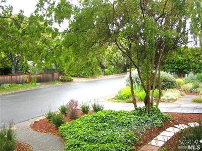 113 Ryan Ave, Mill Valley, CA 94941 photo 11