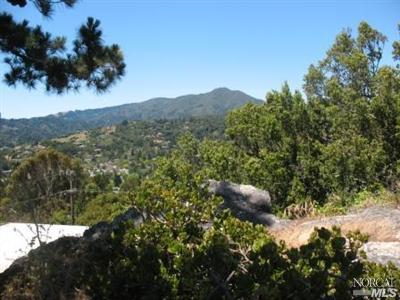 21 Eagle Rock Rd, Mill Valley, CA 94941 photo 12