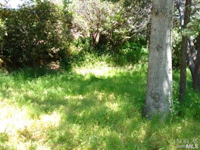 10065 Mitchell Rd, Clearlake Oaks, CA 95423 photo 12