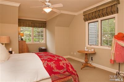 176 W Blithedale Ave, Mill Valley, CA 94941 photo 7