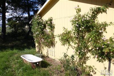 Undisclosed, Penngrove, CA 94951 photo 4