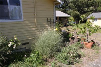 Undisclosed, Penngrove, CA 94951 photo 15