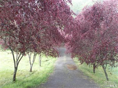 24401 Sherwood Rd, Willits, CA 95490 photo 9