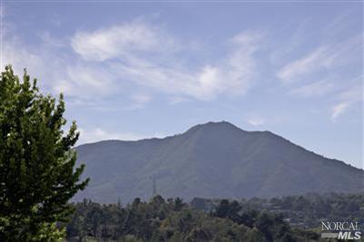 113 Reed Blvd, Mill Valley, CA 94941 photo 12