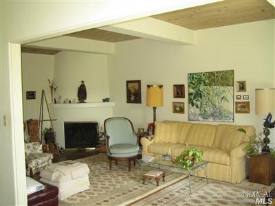 337 Laurel Pl, San Rafael, CA 94901 photo 1