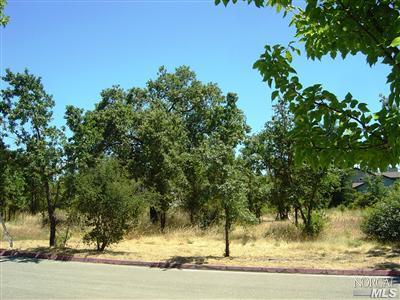 300 Cornell St, Windsor, CA 95492 photo 19