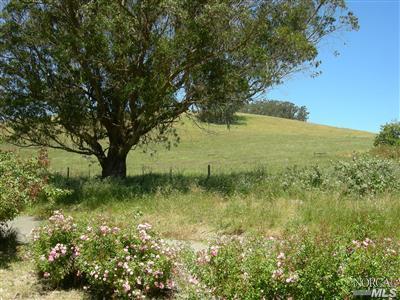 155 John St, Tomales, CA 94971 photo 10