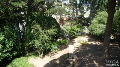 131 Lark Ln, Mill Valley, CA 94941 photo 1
