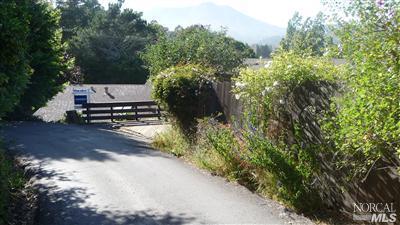 131 Lark Ln, Mill Valley, CA 94941 photo 4