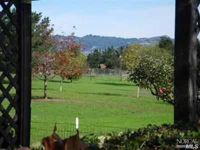 895 W School St, Cotati, CA 94931 photo 13