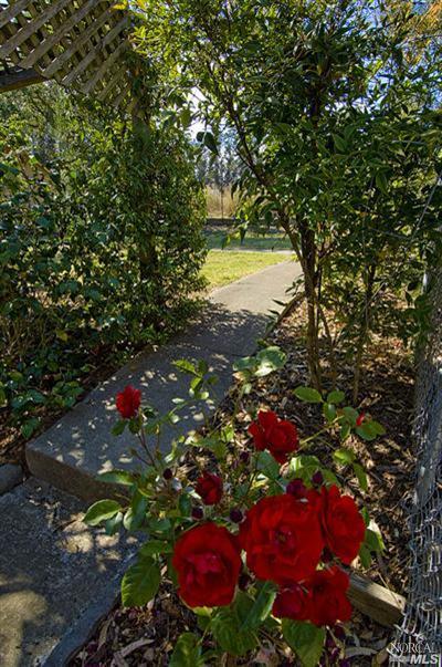 4324 Spring Hill Rd, Petaluma, CA 94952 photo 10