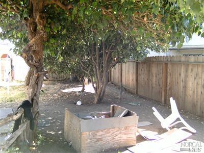 157 Dillon Dr, Vallejo, CA 94589 photo 9