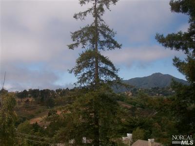 25 S Knoll Rd, Mill Valley, CA 94941 photo 4