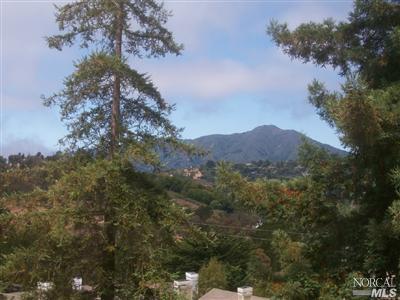 25 S Knoll Rd, Mill Valley, CA 94941 photo 10