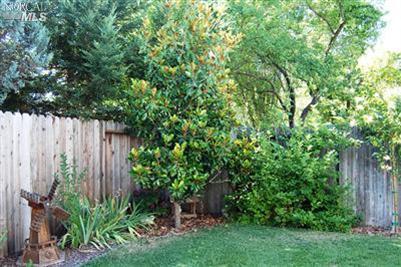 6189 Marsi Ct, Windsor, CA 95492 photo 22