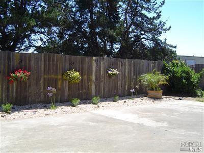 1240 Cooper Rd, Sebastopol, CA 95472 photo 23