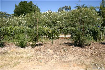 4464 Clancy Ln, Vacaville, CA 95688 photo 24
