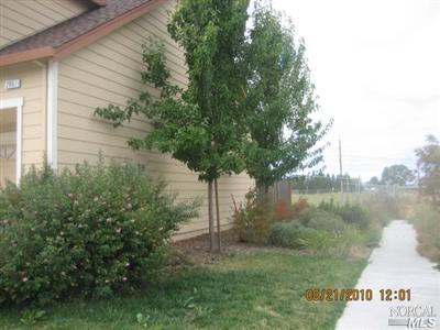 2067 Pascal St, Santa Rosa, CA 95403 photo 3