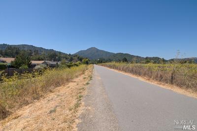 109 Birch Ave, Corte Madera, CA 94925 photo 11