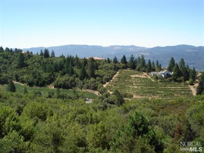 546 White Cottage Rd, Angwin, CA 94508 photo 8