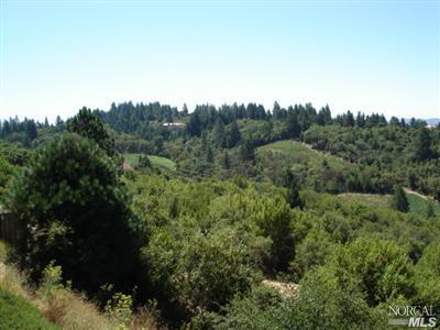 546 White Cottage Rd, Angwin, CA 94508 photo 13