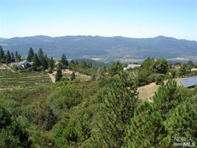 546 White Cottage Rd, Angwin, CA 94508 photo 10