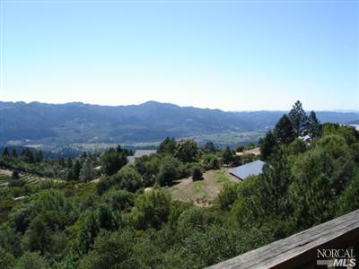 546 White Cottage Rd, Angwin, CA 94508 photo 6