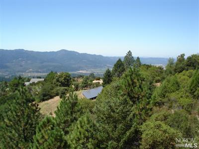 546 White Cottage Rd, Angwin, CA 94508 photo 11
