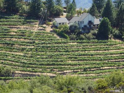 546 White Cottage Rd, Angwin, CA 94508 photo 15
