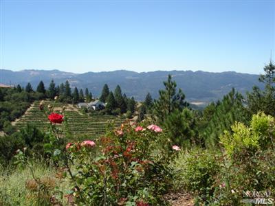 546 White Cottage Rd, Angwin, CA 94508 photo 14