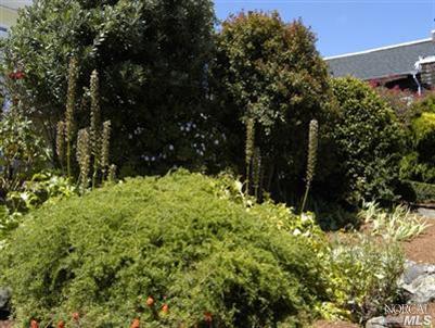 410 Main St, Sausalito, CA 94965 photo 9