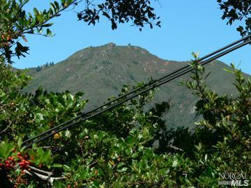 65 Hillside Ave, Mill Valley, CA 94941 photo 6