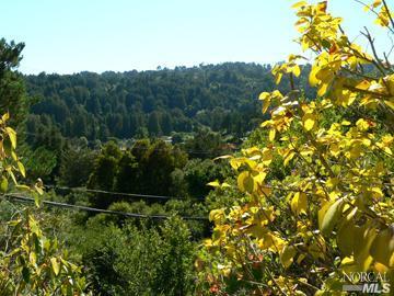 65 Hillside Ave, Mill Valley, CA 94941 photo 5