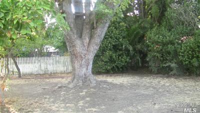 1504 Empire St, Fairfield, CA 94533 photo 6