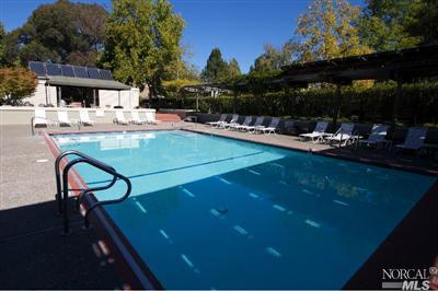 42 Eucalyptus Knoll St, Mill Valley, CA 94941 photo 12