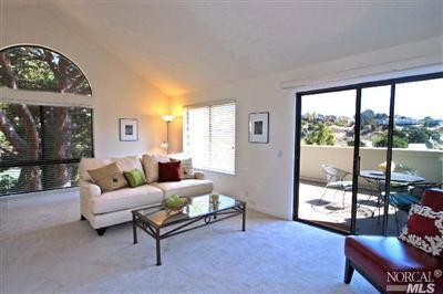 42 Eucalyptus Knoll St, Mill Valley, CA 94941 photo 3