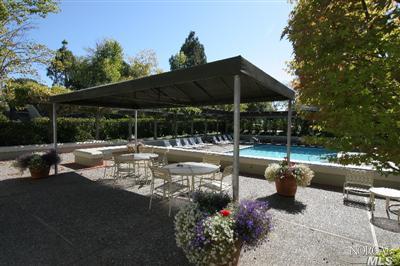42 Eucalyptus Knoll St, Mill Valley, CA 94941 photo 13
