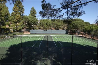 42 Eucalyptus Knoll St, Mill Valley, CA 94941 photo 14