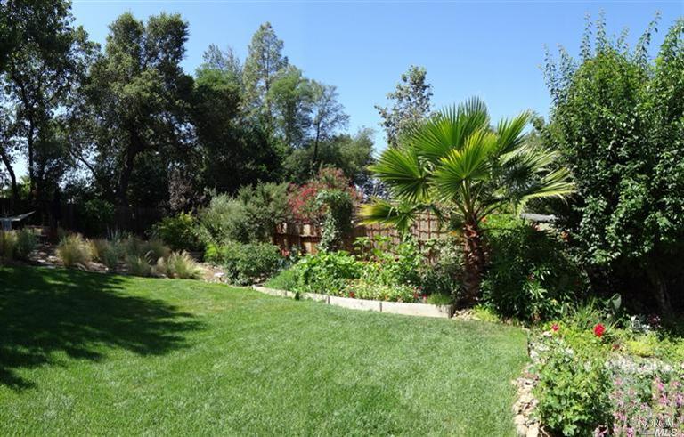 464 Mountain Ave, Sonoma, CA 95476 photo 7