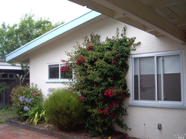 46 Meadow Dr, Mill Valley, CA 94941 photo 3