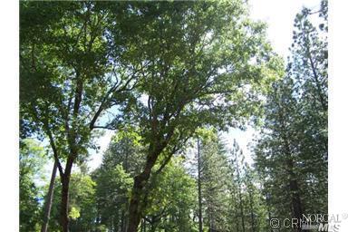 15690 Sugar Pine Dr, Cobb, CA 95426 photo 1