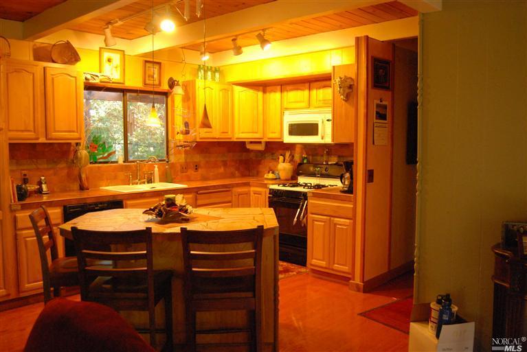 1880 Goose Rd, Willits, CA 95490 photo 5